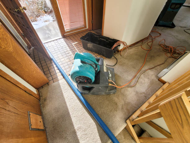 Best 24/7 water damage repair  in Glenwood, IL