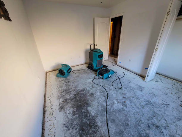 Best Carpet water damage restoration  in Glenwood, IL