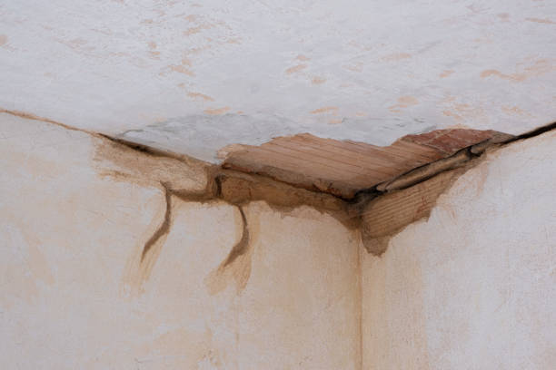 Best Residential water damage restoration  in Glenwood, IL