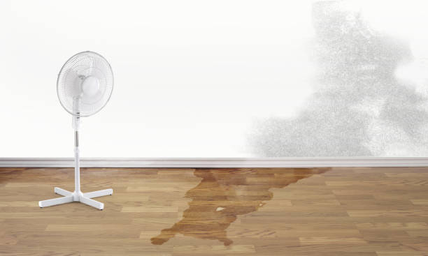 Best Basement water damage restoration  in Glenwood, IL