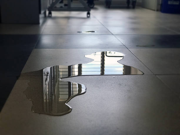 Best Water damage restoration near me  in Glenwood, IL