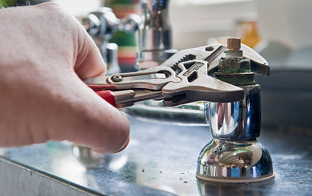 Best Mold removal after water damage  in Glenwood, IL