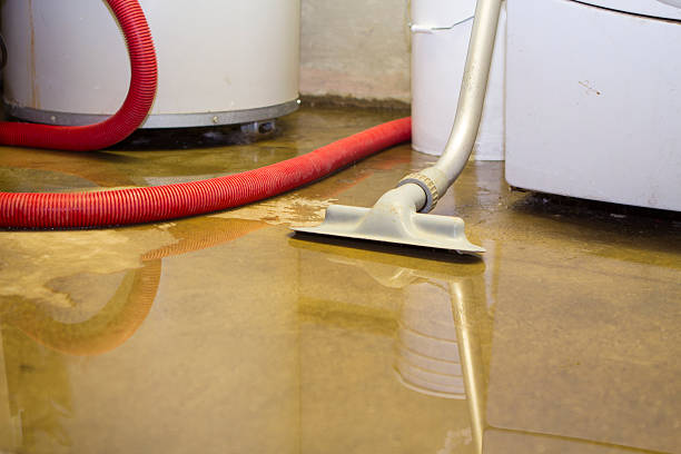 Best Sewage cleanup and water damage restoration  in Glenwood, IL