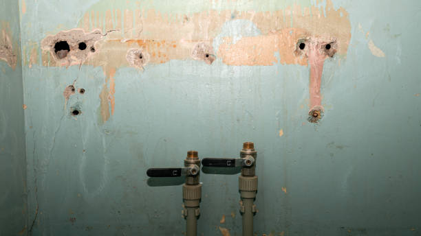 Best Water damage cleanup near me  in Glenwood, IL