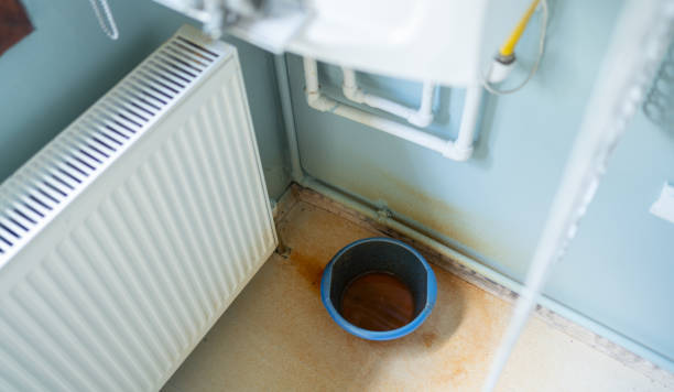 Best Flood restoration services  in Glenwood, IL