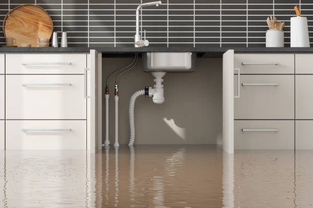Best Emergency water damage restoration  in Glenwood, IL