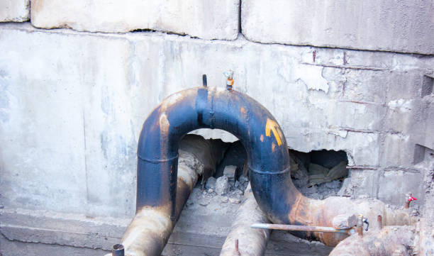 Best Flooded house restoration  in Glenwood, IL