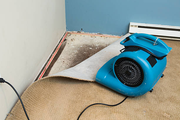 Professional Water damage restoration in IL